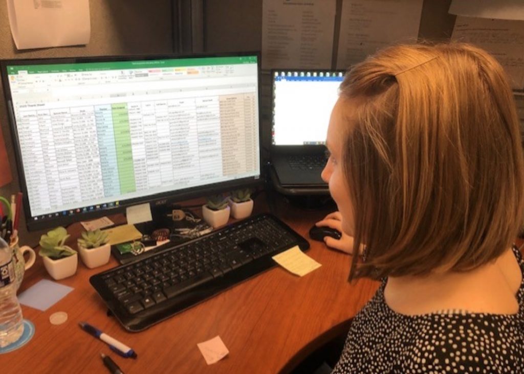 Ilana Toch using Microsoft Excel